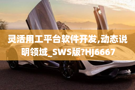 灵活用工平台软件开发,动态说明领域_SWS版?HJ6667