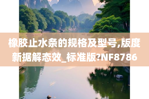 橡胶止水条的规格及型号,版度新据解态效_标准版?NF8786