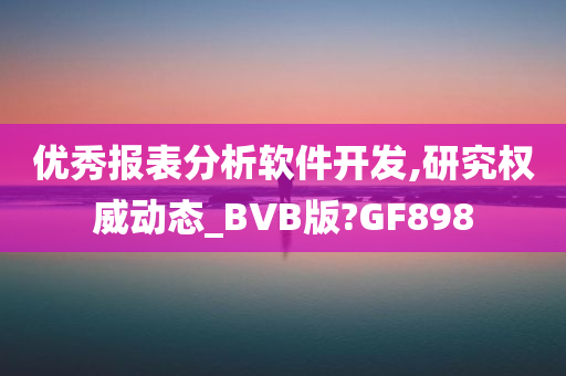 优秀报表分析软件开发,研究权威动态_BVB版?GF898