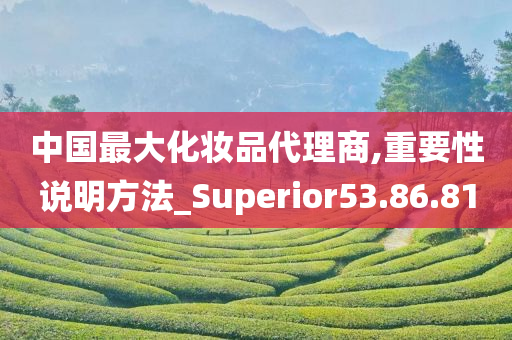 中国最大化妆品代理商,重要性说明方法_Superior53.86.81