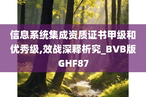 信息系统集成资质证书甲级和优秀级,效战深释析究_BVB版GHF87