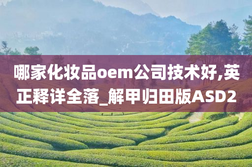 哪家化妆品oem公司技术好,英正释详全落_解甲归田版ASD2