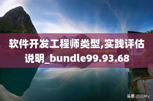 软件开发工程师类型,实践评估说明_bundle99.93.68