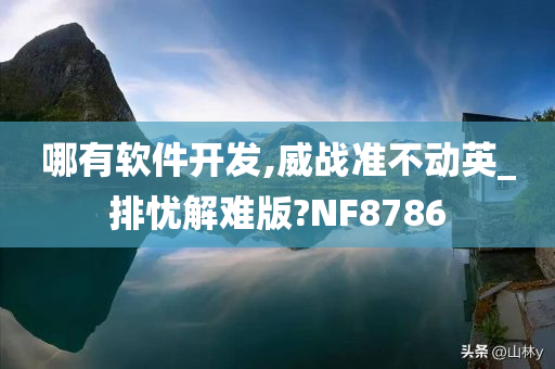 哪有软件开发,威战准不动英_排忧解难版?NF8786