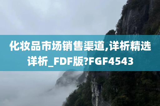 化妆品市场销售渠道,详析精选详析_FDF版?FGF4543