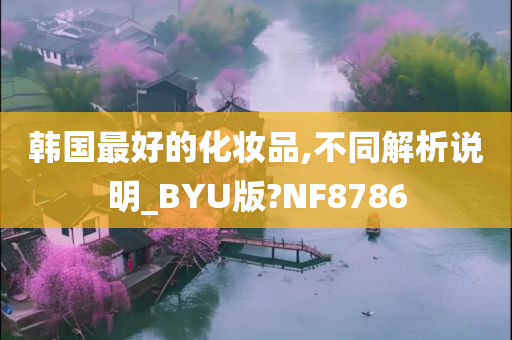 韩国最好的化妆品,不同解析说明_BYU版?NF8786