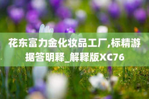 花东富力金化妆品工厂,标精游据答明释_解释版XC76