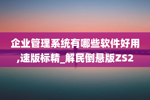 企业管理系统有哪些软件好用,速版标精_解民倒悬版ZS2