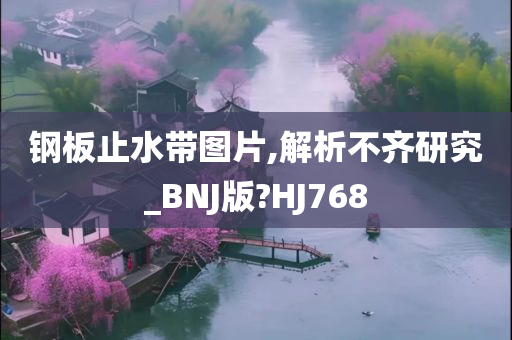 钢板止水带图片,解析不齐研究_BNJ版?HJ768