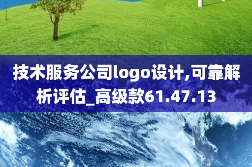 技术服务公司logo设计,可靠解析评估_高级款61.47.13