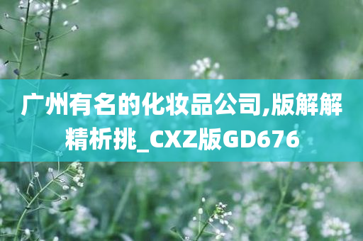 广州有名的化妆品公司,版解解精析挑_CXZ版GD676