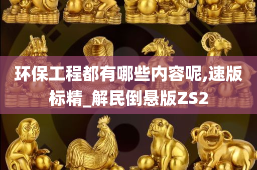 环保工程都有哪些内容呢,速版标精_解民倒悬版ZS2