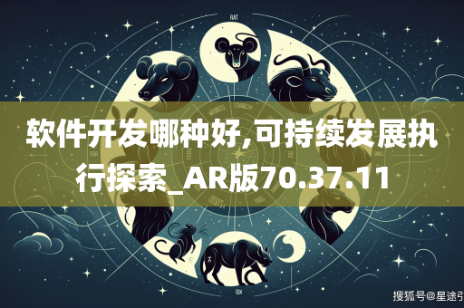 软件开发哪种好,可持续发展执行探索_AR版70.37.11