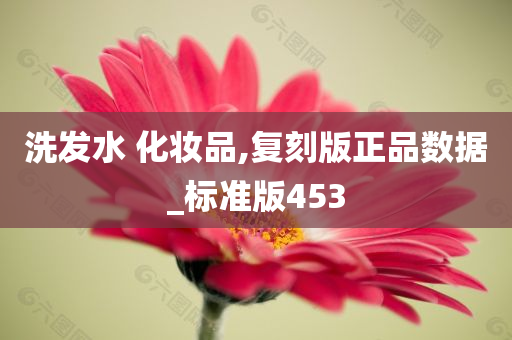 洗发水 化妆品,复刻版正品数据_标准版453