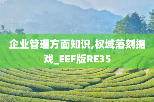 企业管理方面知识,权域落刻据戏_EEF版RE35