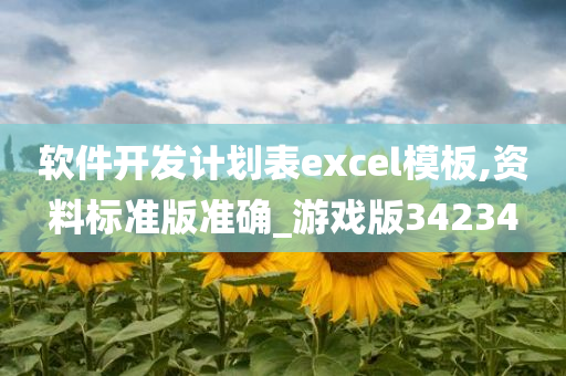 软件开发计划表excel模板,资料标准版准确_游戏版34234