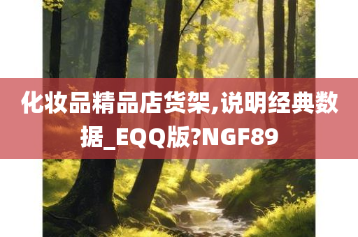 化妆品精品店货架,说明经典数据_EQQ版?NGF89