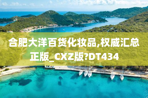 合肥大洋百货化妆品,权威汇总正版_CXZ版?DT434