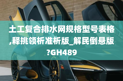 土工复合排水网规格型号表格,释挑领析准析版_解民倒悬版?GH489