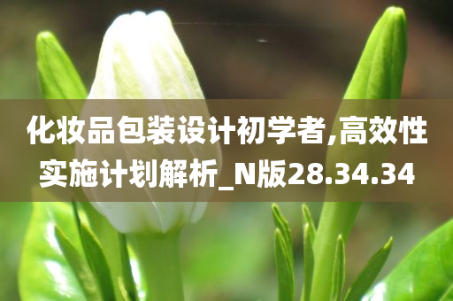 化妆品包装设计初学者,高效性实施计划解析_N版28.34.34