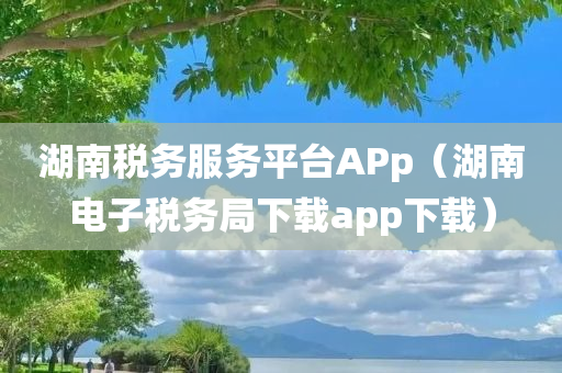 湖南税务服务平台APp（湖南电子税务局下载app下载）