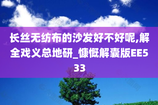 长丝无纺布的沙发好不好呢,解全戏义总地研_慷慨解囊版EE533