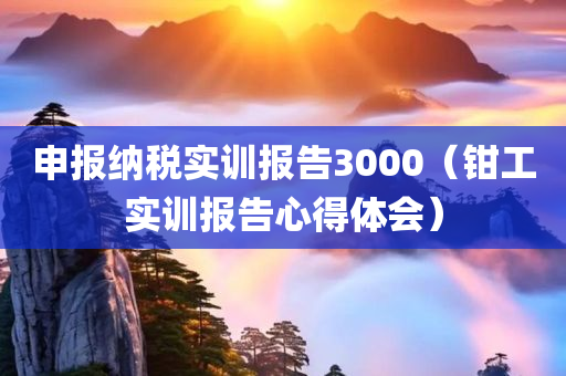 申报纳税实训报告3000（钳工实训报告心得体会）