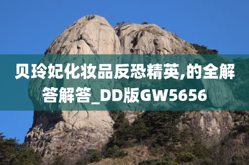 贝玲妃化妆品反恐精英,的全解答解答_DD版GW5656