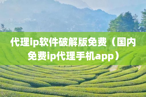 代理ip软件破解版免费（国内免费ip代理手机app）