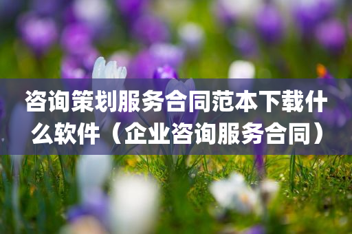 咨询策划服务合同范本下载什么软件（企业咨询服务合同）