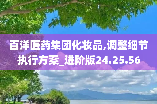 百洋医药集团化妆品,调整细节执行方案_进阶版24.25.56