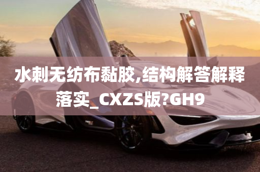 水刺无纺布黏胶,结构解答解释落实_CXZS版?GH9