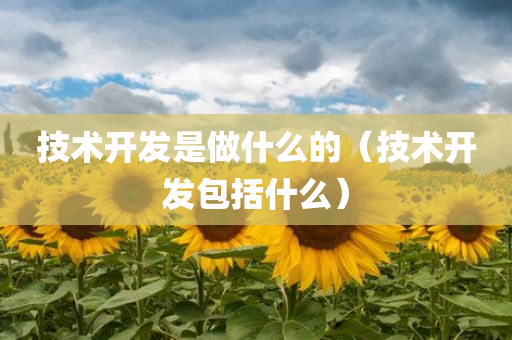 技术开发是做什么的（技术开发包括什么）