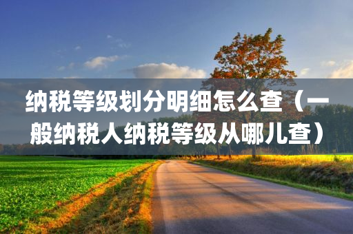 纳税等级划分明细怎么查（一般纳税人纳税等级从哪儿查）