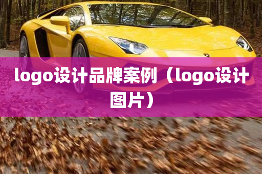 logo设计品牌案例（logo设计图片）