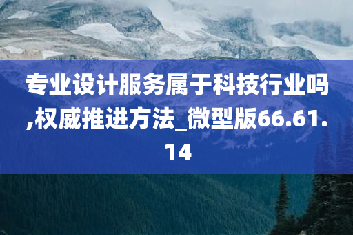 专业设计服务属于科技行业吗,权威推进方法_微型版66.61.14