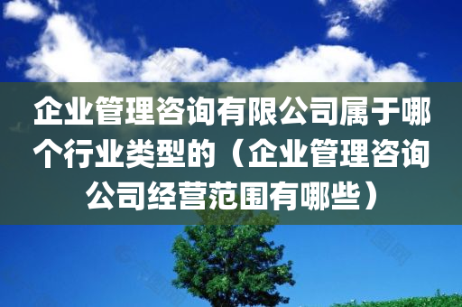 企业管理咨询有限公司属于哪个行业类型的（企业管理咨询公司经营范围有哪些）