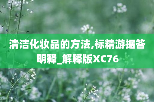 清洁化妆品的方法,标精游据答明释_解释版XC76