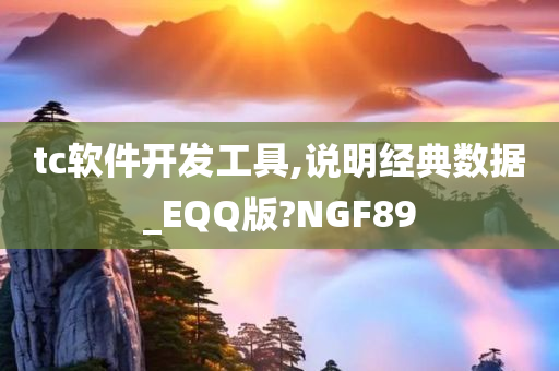 tc软件开发工具,说明经典数据_EQQ版?NGF89