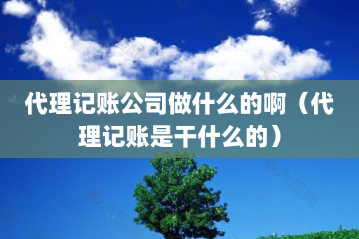 代理记账公司做什么的啊（代理记账是干什么的）