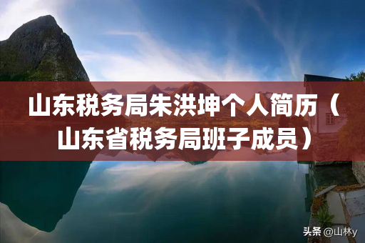 山东税务局朱洪坤个人简历（山东省税务局班子成员）