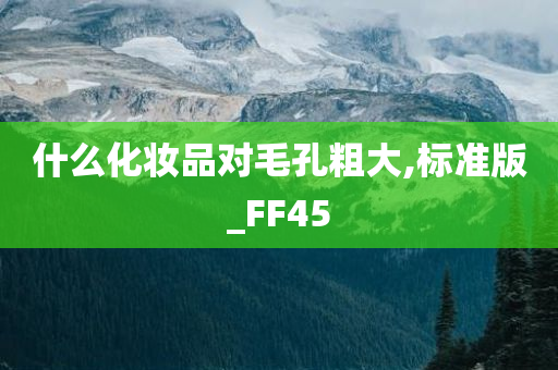 什么化妆品对毛孔粗大,标准版_FF45