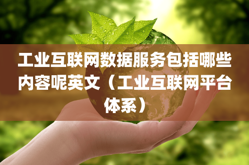 工业互联网数据服务包括哪些内容呢英文（工业互联网平台体系）