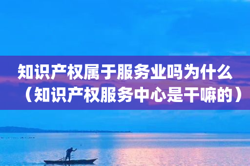 知识产权属于服务业吗为什么（知识产权服务中心是干嘛的）