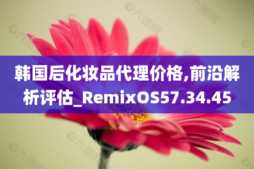 韩国后化妆品代理价格,前沿解析评估_RemixOS57.34.45