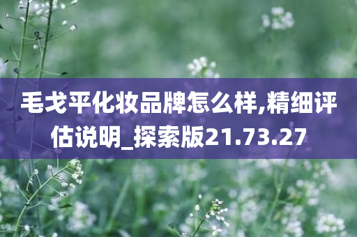 毛戈平化妆品牌怎么样,精细评估说明_探索版21.73.27