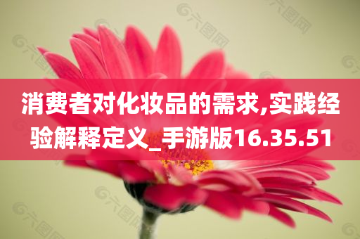 消费者对化妆品的需求,实践经验解释定义_手游版16.35.51