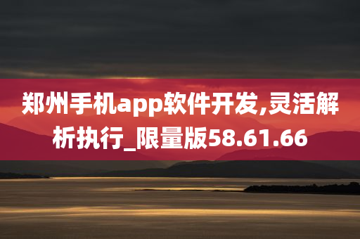 郑州手机app软件开发,灵活解析执行_限量版58.61.66