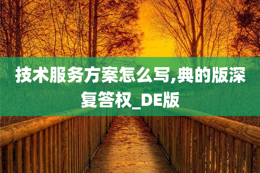 技术服务方案怎么写,典的版深复答权_DE版