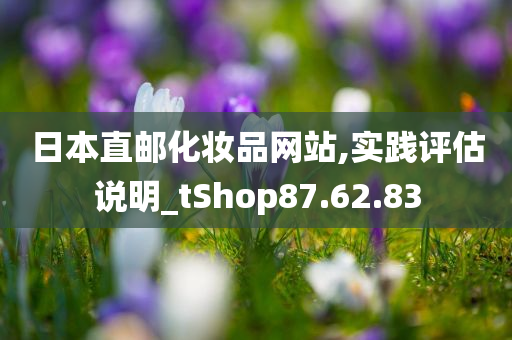 日本直邮化妆品网站,实践评估说明_tShop87.62.83